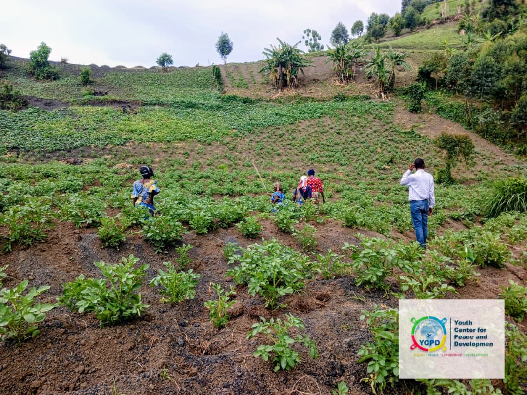 Resilient Women: Agricultural Empowerment and Food Security in Rusayo