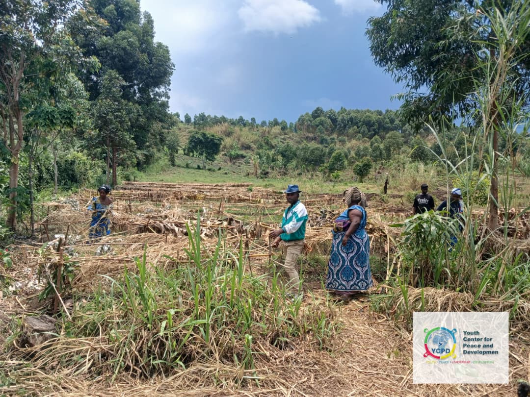Resilient Women: Agricultural Empowerment and Food Security in Rusayo